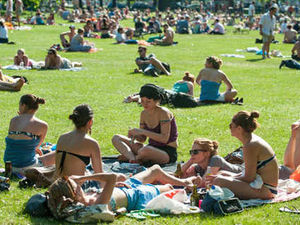 Supporting image for story: Shropshire heatwave to end in storm