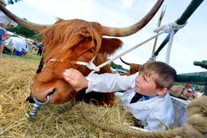 Louis Jordan, 10, from Bridgnorth, with a Highland cow called Easter Bunny