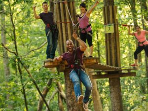 Supporting image for story: Cannock's Go Ape to celebrate 10th anniversary this month