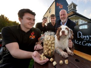 Supporting image for story: Pub hosting dog-friendly Bonfire Night event far away from firework displays