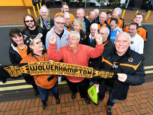 Supporting image for story: Wolves for sale: Steve Morgan's made the wrong move, say fans