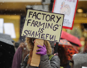 A demonstration through Market Square, Stafford