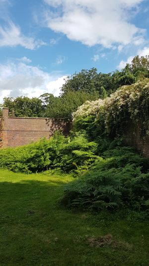 A lot of work has gone into setting the site up. Photo: Himley Glamping