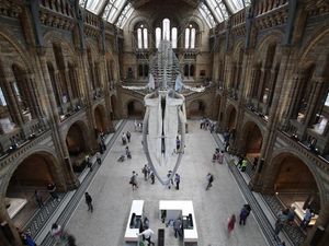 Supporting image for story: It’s international museum meme day and the results are absolutely perfect