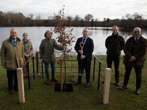 Supporting image for story: University gifts Jubilee trees to community 