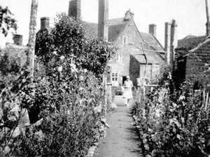 Supporting image for story: This week's pictures from the past