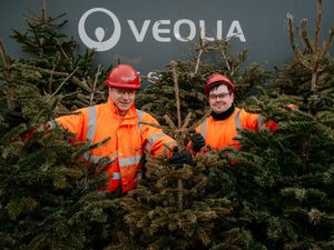 Supporting image for story: Shropshire residents urged to recycle Christmas trees
