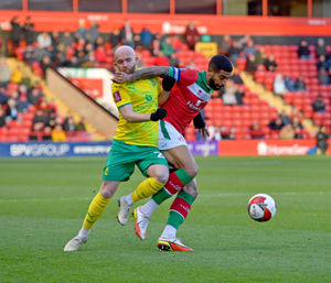 Joss Labadie and Jonny Williams