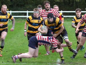 Supporting image for story: High-flying Hornets run in a magnificent seven