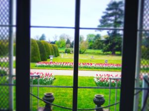 Supporting image for story: Shugborough’s window on the world