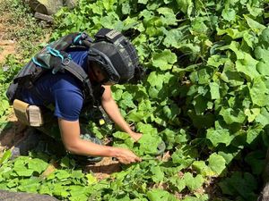 Supporting image for story: Thailand says it may act in ‘self-defence’ as soldier hurt near Cambodian border