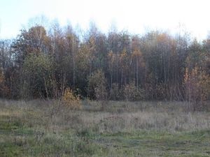 Supporting image for story: Second bid for battery storage facility near Walsall retail park rejected