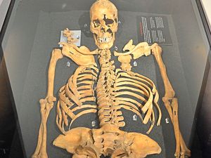 Supporting image for story: Vikings invade Wolverhampton Art Gallery for exhibition - in photos