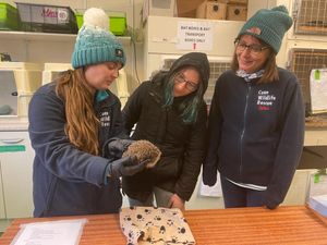 Staff at Cuan Wildlife Centre