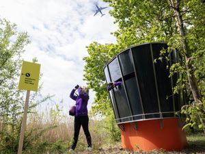 Supporting image for story: Airport installs bird hide designed to resemble air traffic control tower