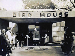 Supporting image for story: Former Dudley Zoo bird house to be given new lease of life after 30 years - housing South American creatures