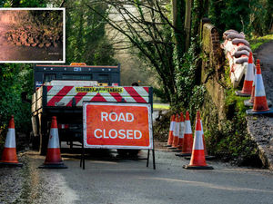 Supporting image for story: Pictures: Road closed as wall collapses in Telford