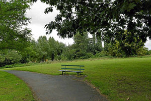 The site where Woodhenge would have stood