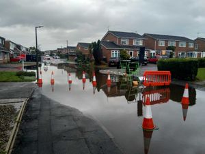 Supporting image for story: Developers should not 'cut corners' when designing drains on new estates