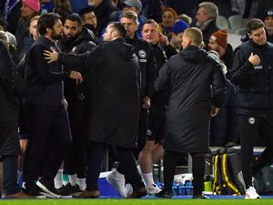 Supporting image for story: Southampton denied by VAR in draw with Brighton