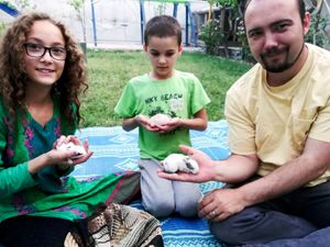 Supporting image for story: Taliban confirm release of two Americans in prisoner exchange