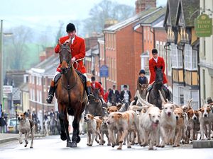 Supporting image for story: Hunt accused of 'huge contempt' after riding on Shropshire Wildlife Trust land