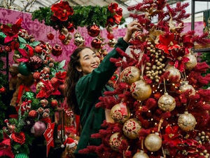 Supporting image for story: Christmas arrives at a Shrewsbury garden centre - with late night shopping, beautiful baubles and exclusive offers