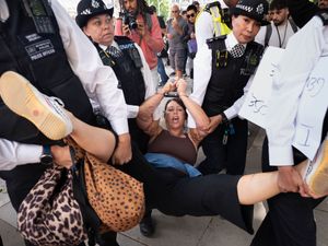 Supporting image for story: Palestine Action supporters ‘will feel full force of law’, justice minister says