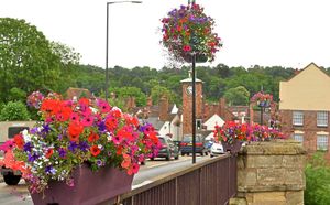 Previous floral displays in Bridgnorth