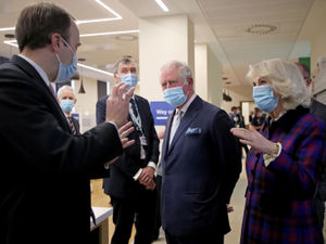 Supporting image for story: Royal pair meet vaccine heroes 