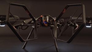 Supporting image for story