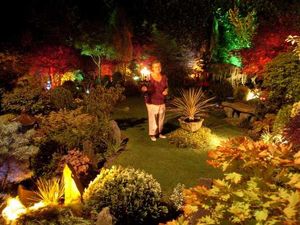 Supporting image for story: Bulbs to brighten up visitors' lives