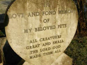 Supporting image for story: Pet burials plan for eco site near Whitchurch
