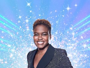 Supporting image for story