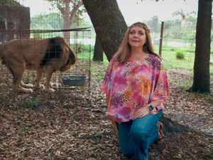 Supporting image for story