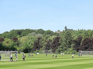 Supporting image for story: Wolves are short of players as they begin pre-season training