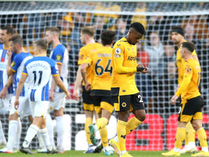 Supporting image for story: Wolves 2 Brighton 3 – Player ratings