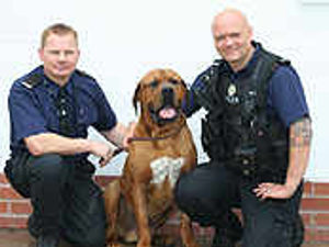 Supporting image for story: Conan settles in to home with Pcs