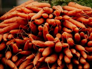 Supporting image for story: Dig For Victory-style food-growing scheme receives backing amid soaring prices