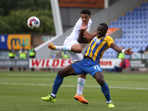 Supporting image for story: Morecambe v Shrewsbury preview: Town are looking to build momentum from the start