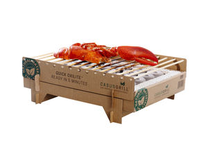 Portable: CasusGrill – the biodegradable instant BBQ, £7.99, thefowndry.com
