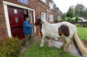 Arriving at Mr Dudley's home in Skemp Close