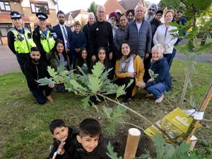 Supporting image for story: Tree-mendous idea for the Jubilee in Tipton