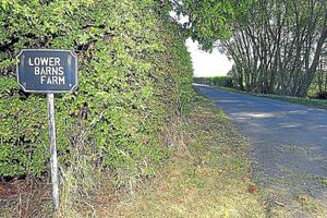 The country lane where Kevin Nunes was executed in a firing squad-style attack