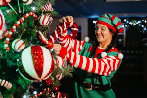 The Festive Village at Telford's Exotic Zoo Wildlife Park