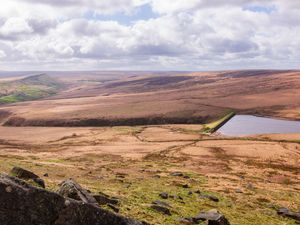 Supporting image for story: National Trust restores nature across area twice the size of Manchester