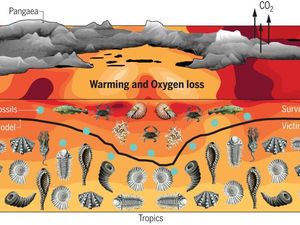 Supporting image for story: Biggest mass extinction left ocean animals gasping for breath, study shows