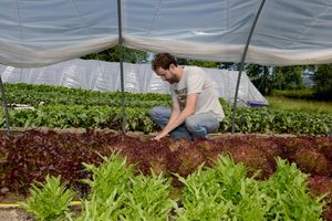 Dave working in the field