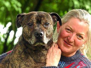 Supporting image for story: Fraudsters left Shropshire dog rescue charity on brink of closure