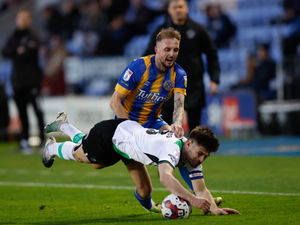 Supporting image for story: Shrewsbury Town 1 Plymouth 2 - Report 